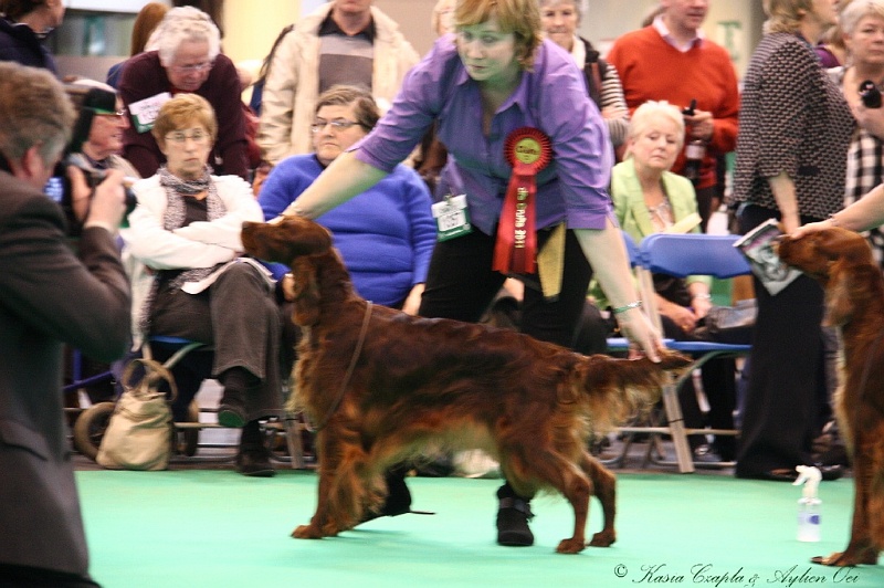 Crufts2011 871.jpg